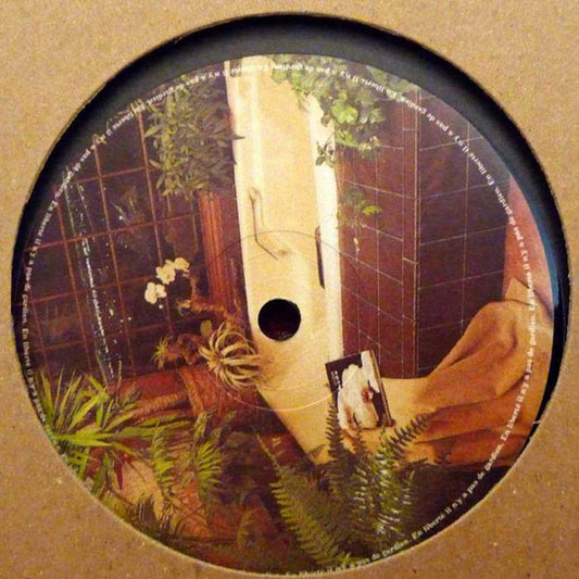 Various Artists  ‎– Freedom Is Rising