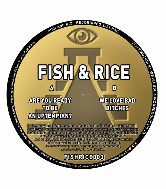 Fish & Rice aka Hellfish & Akira - Fish Rice Recordings #3