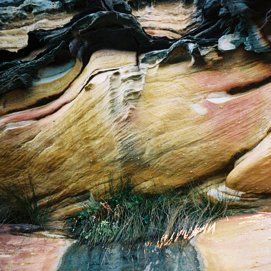 FRANCIS INFERNO ORCHESTRA PRESENTS VERANDA CULTURE - VERANDA CULTURE