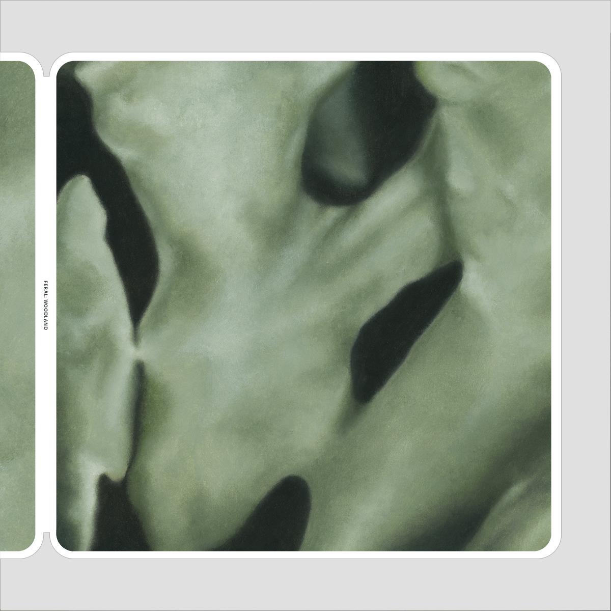 Feral - Woodland [180 grams]