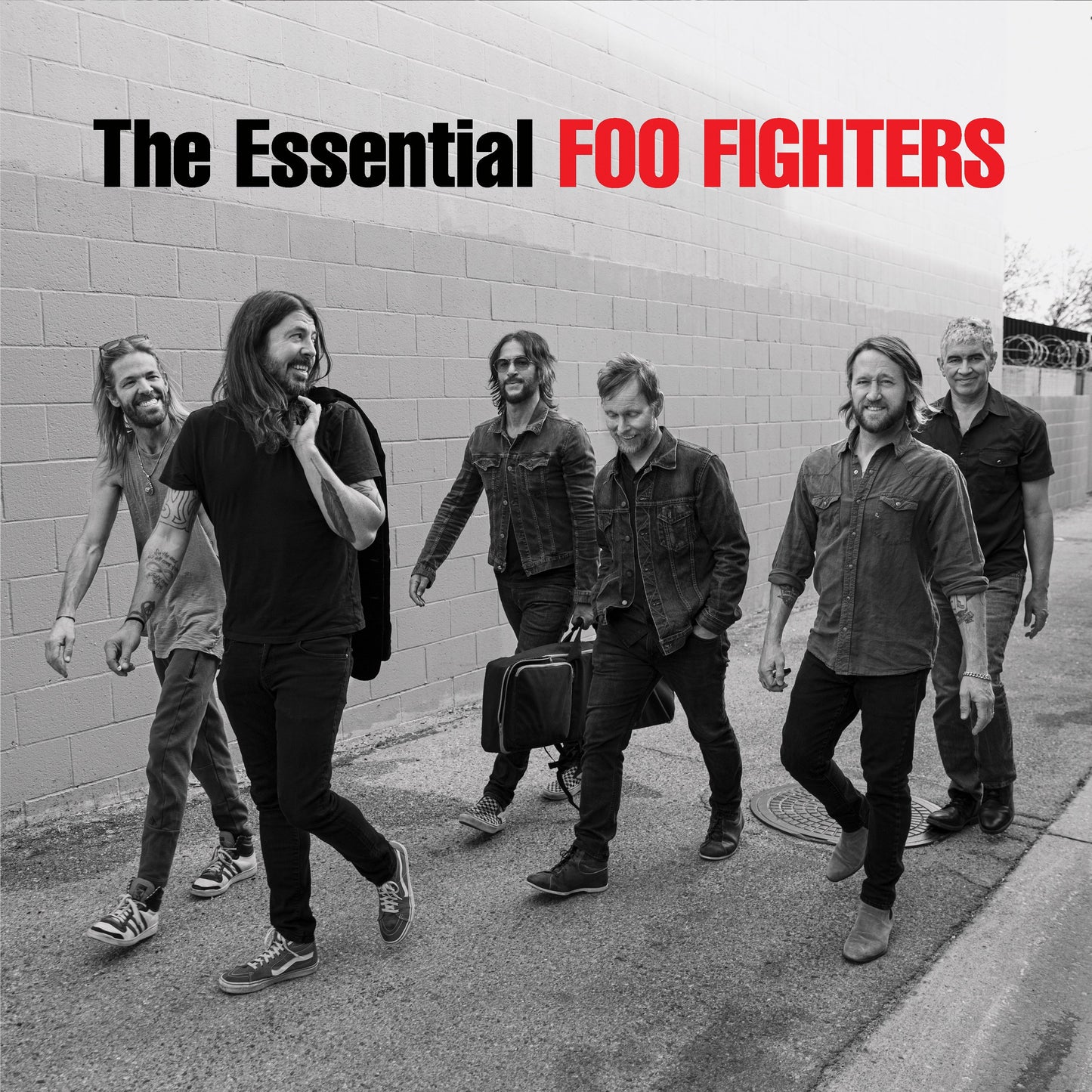 Foo Fighters - The Essential Foo Fighters [2LP]