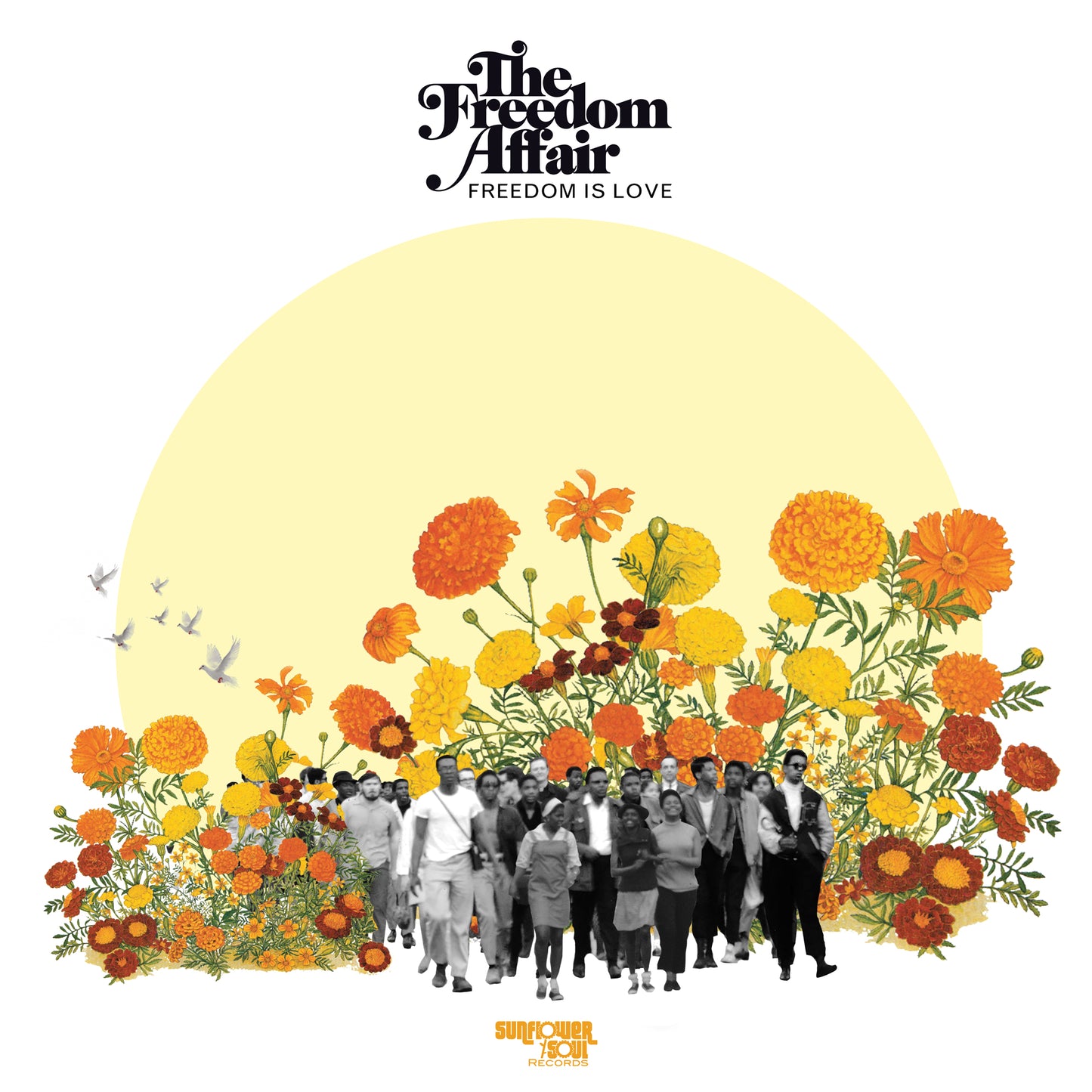 The Freedom Affair Freedom Is Love [Coloured Vinyl]