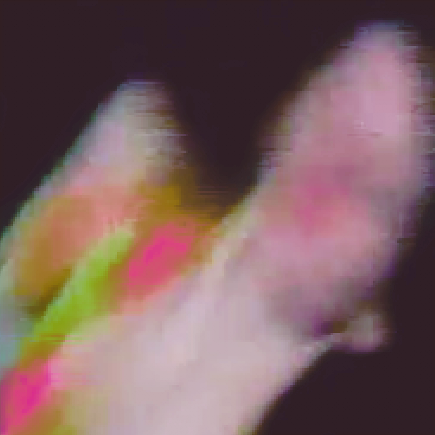 FUNCTION - Existenz LP