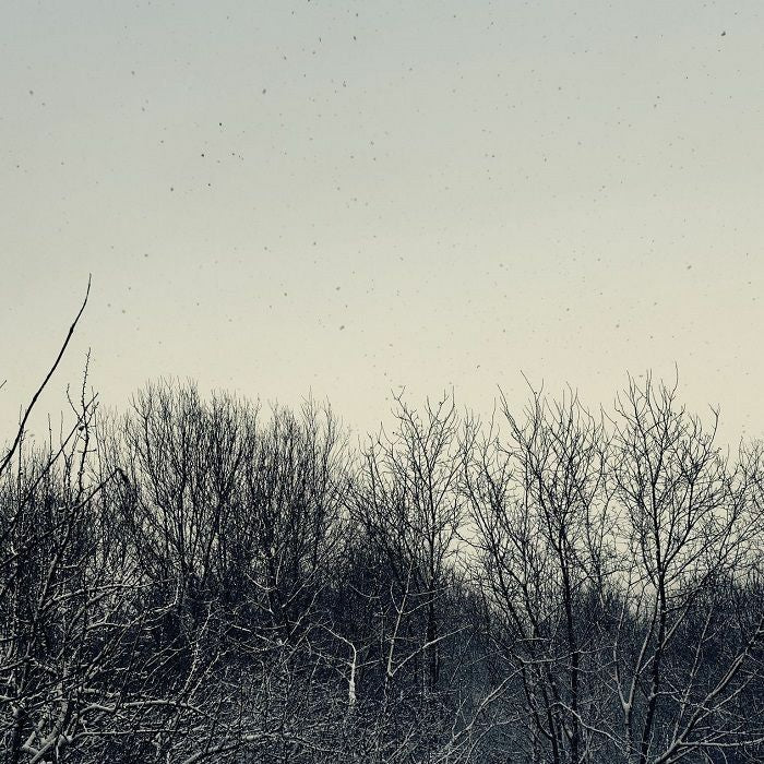 GEINS'T NAÏT & SCANNER - GN / SCANNER