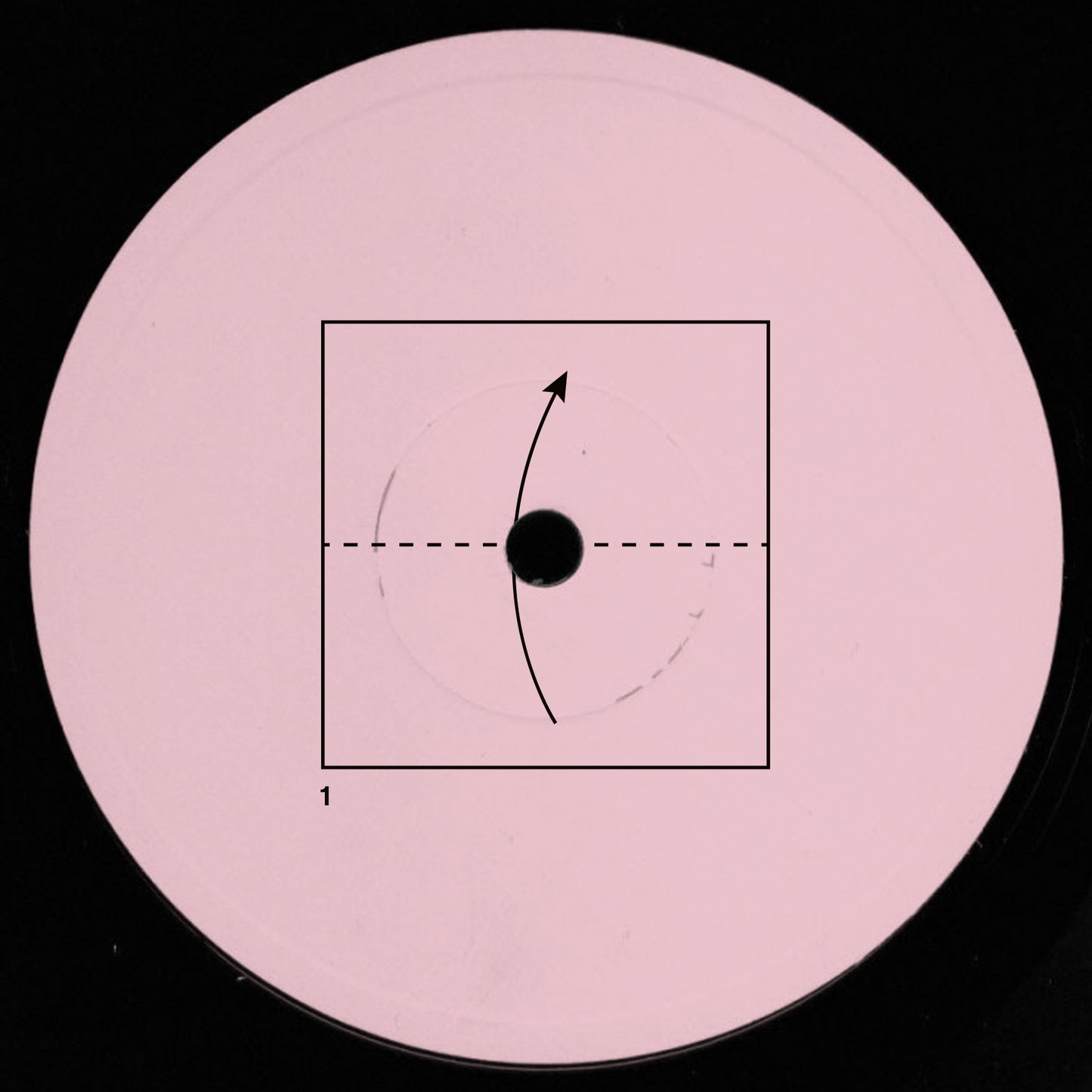 RUI MAIA - Botany Department LP