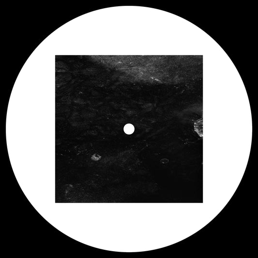 not even noticed - Muted Noises