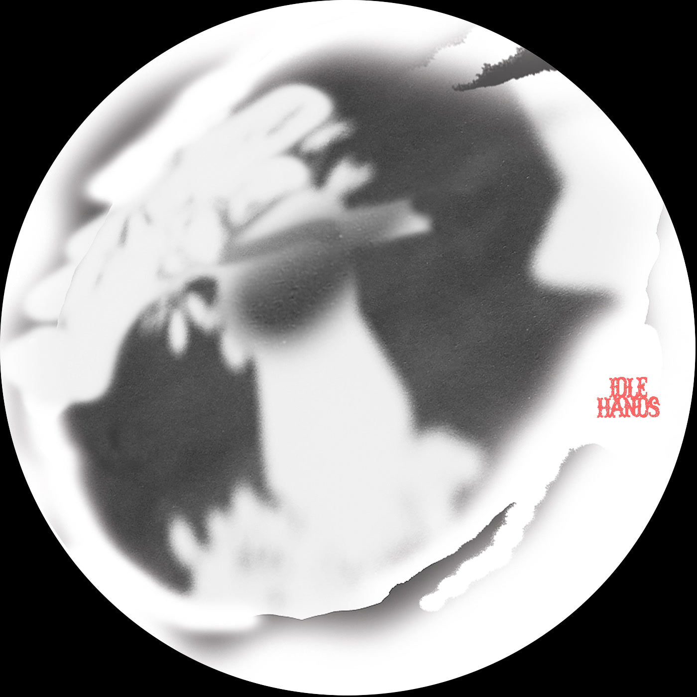 Daisy Moon - Geometry of Curves