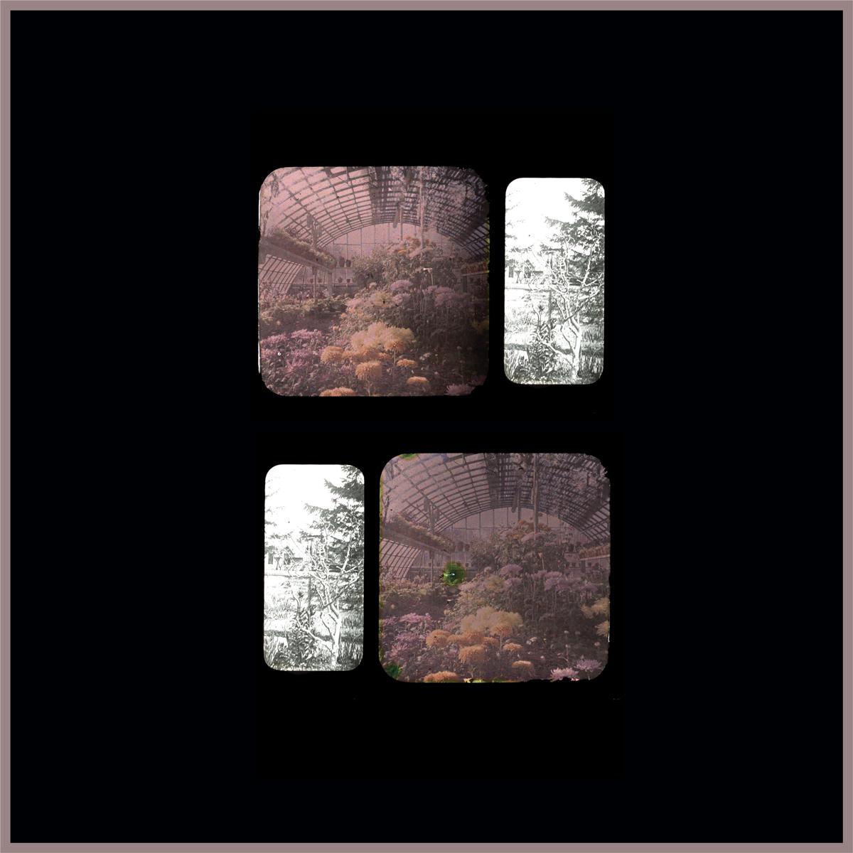 E-Mertz - Iron Forest Anomaly LP [printed j-card / on body print / incl. dl code]