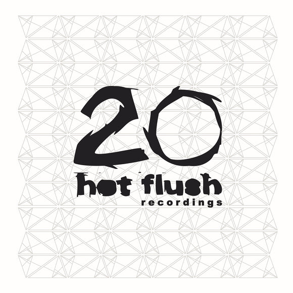Various Artists -  20 (Hotflush 20th Year Anniversary Compilation)