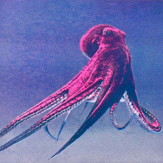 Maastricht Research -  Idle Animation