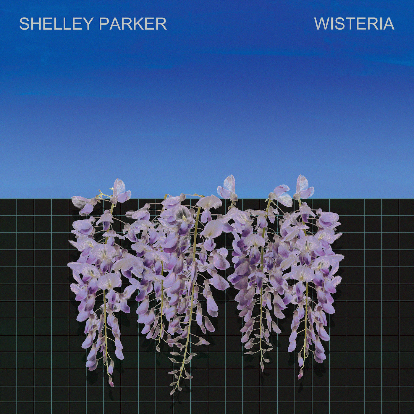 Shelley Parker - Wisteria