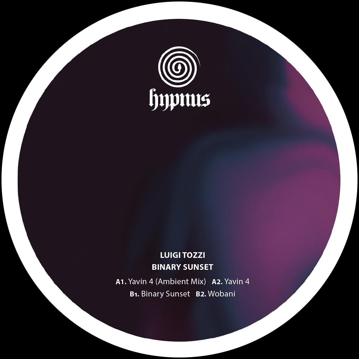 Luigi Tozzi - Binary Sunset [180 grams / black vinyl / generic sleeve]