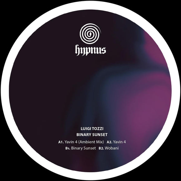 Luigi Tozzi - Binary Sunset [180 grams / black vinyl / generic sleeve]
