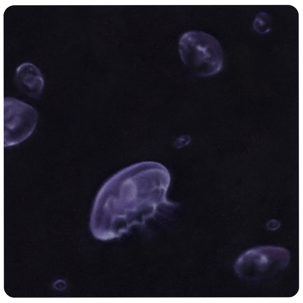 Feral - Crossroads [custom cut full colour sleeve / pink marbled vinyl / 180 grams]