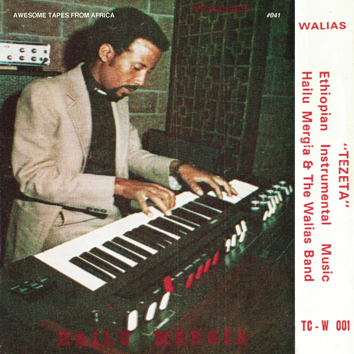 Hailu Mergia and the Walias Band – Tezeta [Cassette]