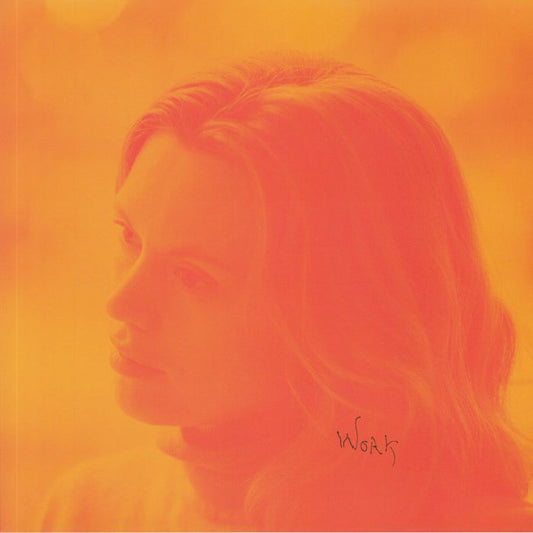 Hanne Lippard - Work