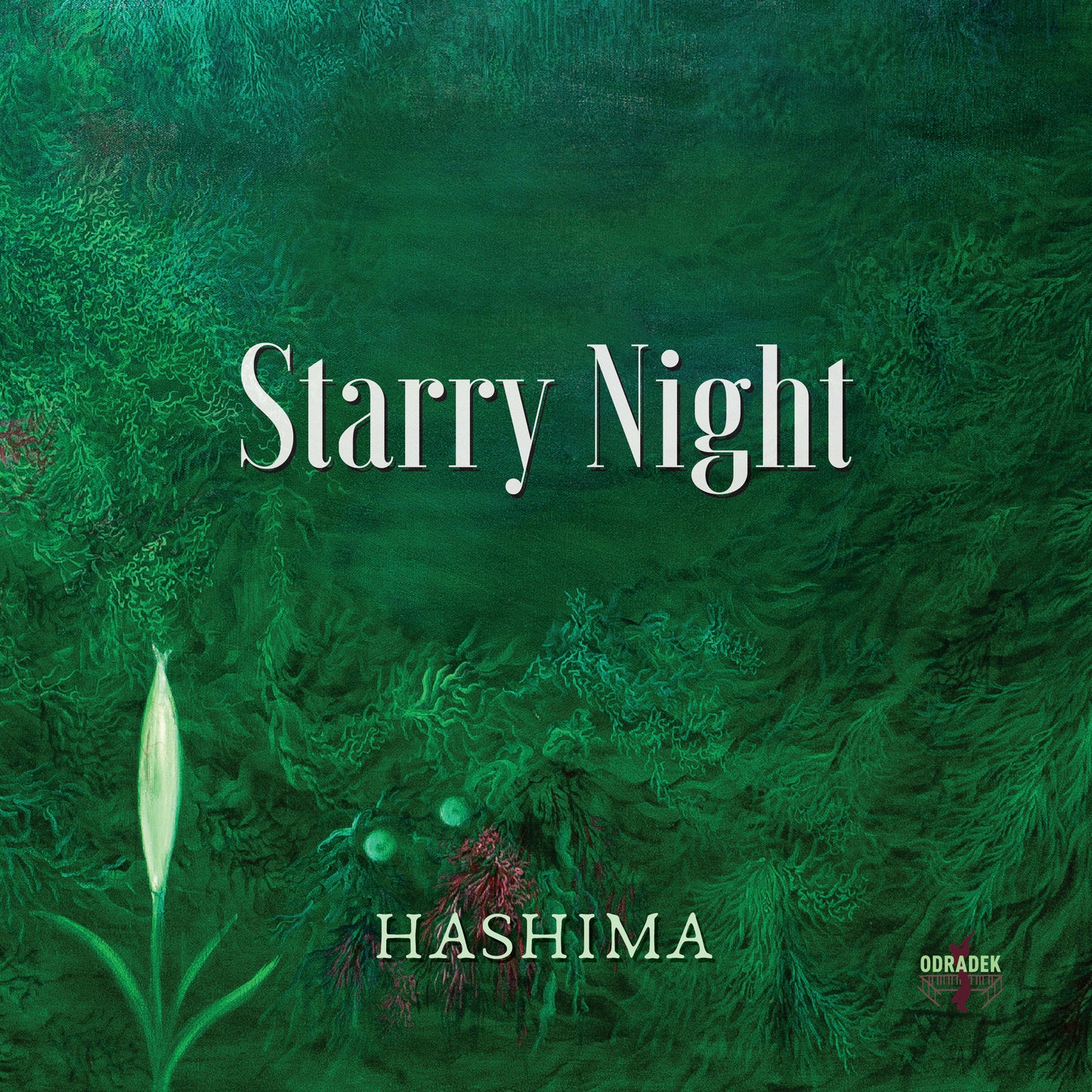 Hashima - Starry Night
