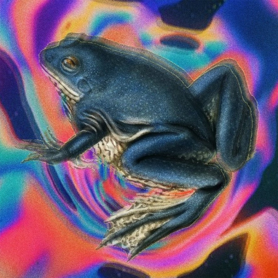 Hundredth Somewhere Nowhere