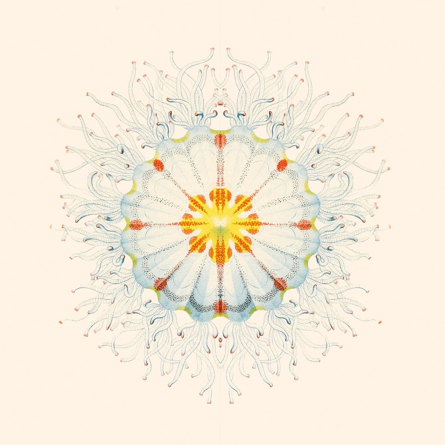 Charlie Charlie - Little Things