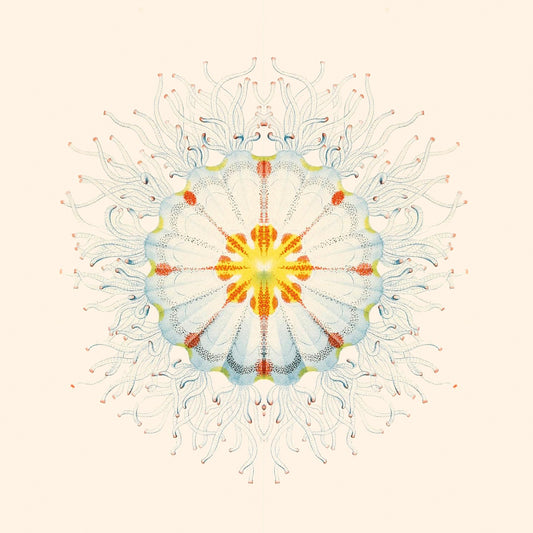 Charlie Charlie - Little Things