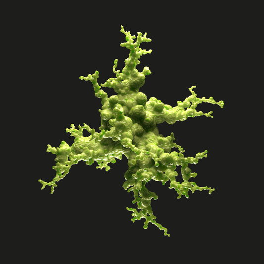 Echonomist - Night Versions EP