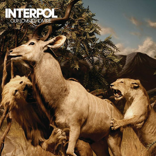 Interpol - Our Love To Admire [CD]