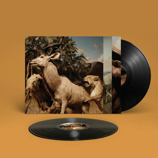 Interpol - Our Love To Admire [2LP]