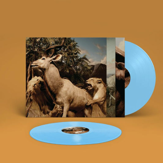 Interpol - Our Love To Admire [Coloured 2LP]