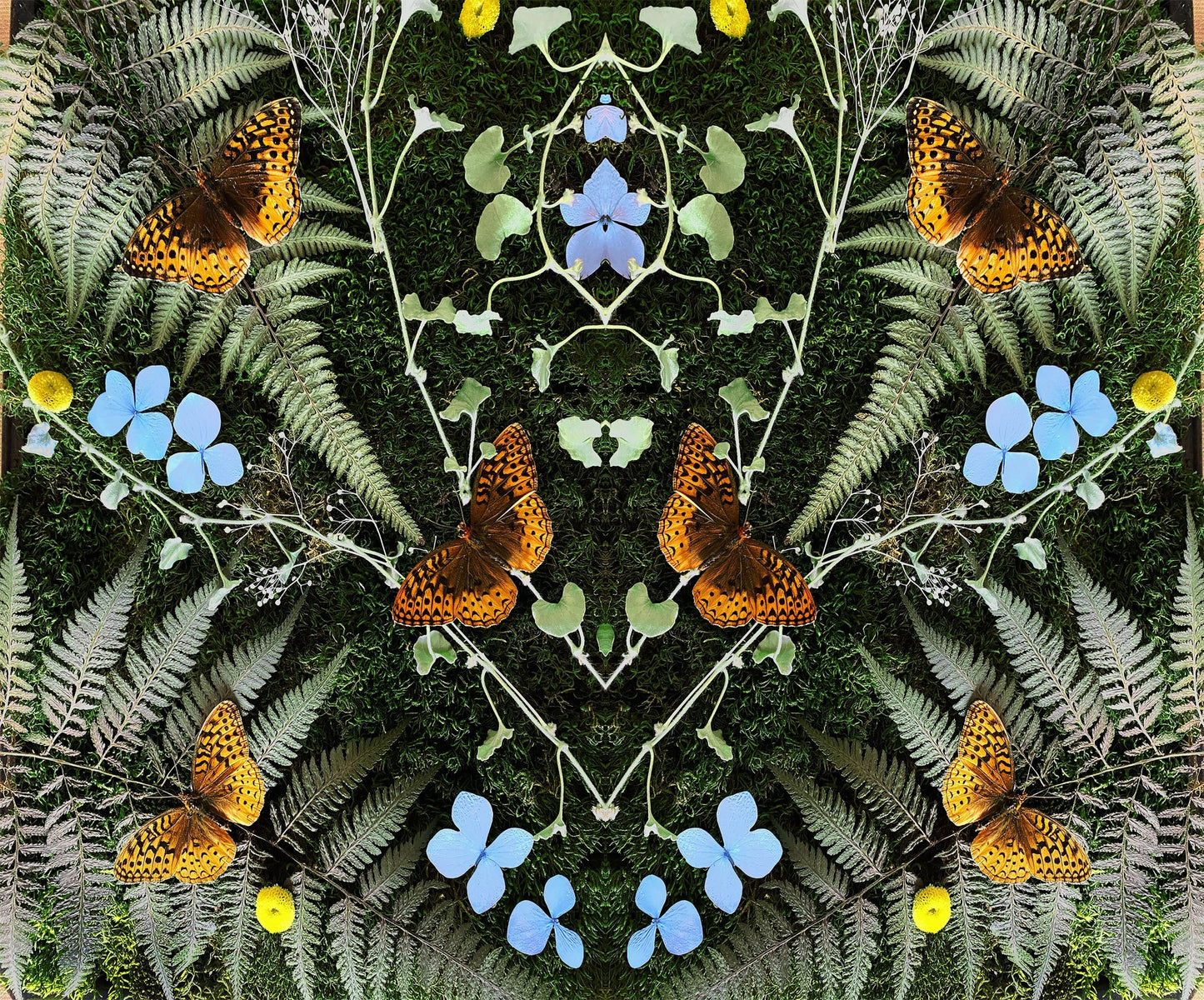 Jean-Michel Blais - aubades [CD]