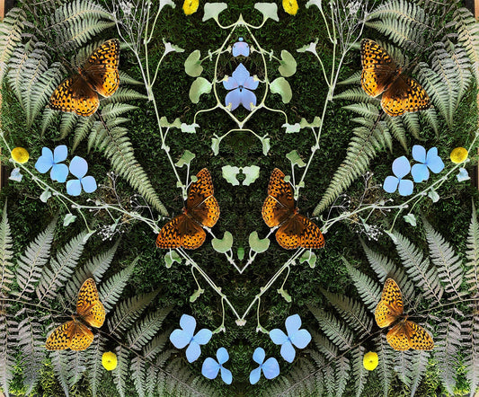 Jean-Michel Blais - aubades [CD]