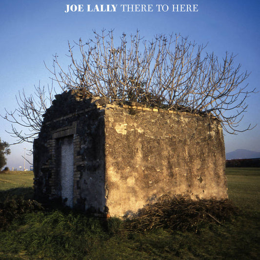 JOE LALLY - THERE TO HERE [CD]