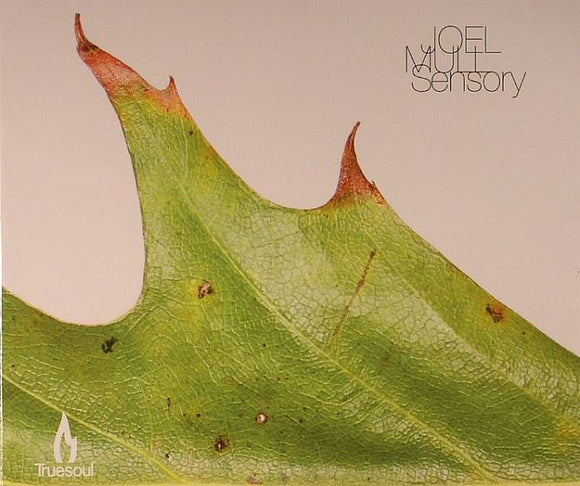 JOEL MULL - SENSORY