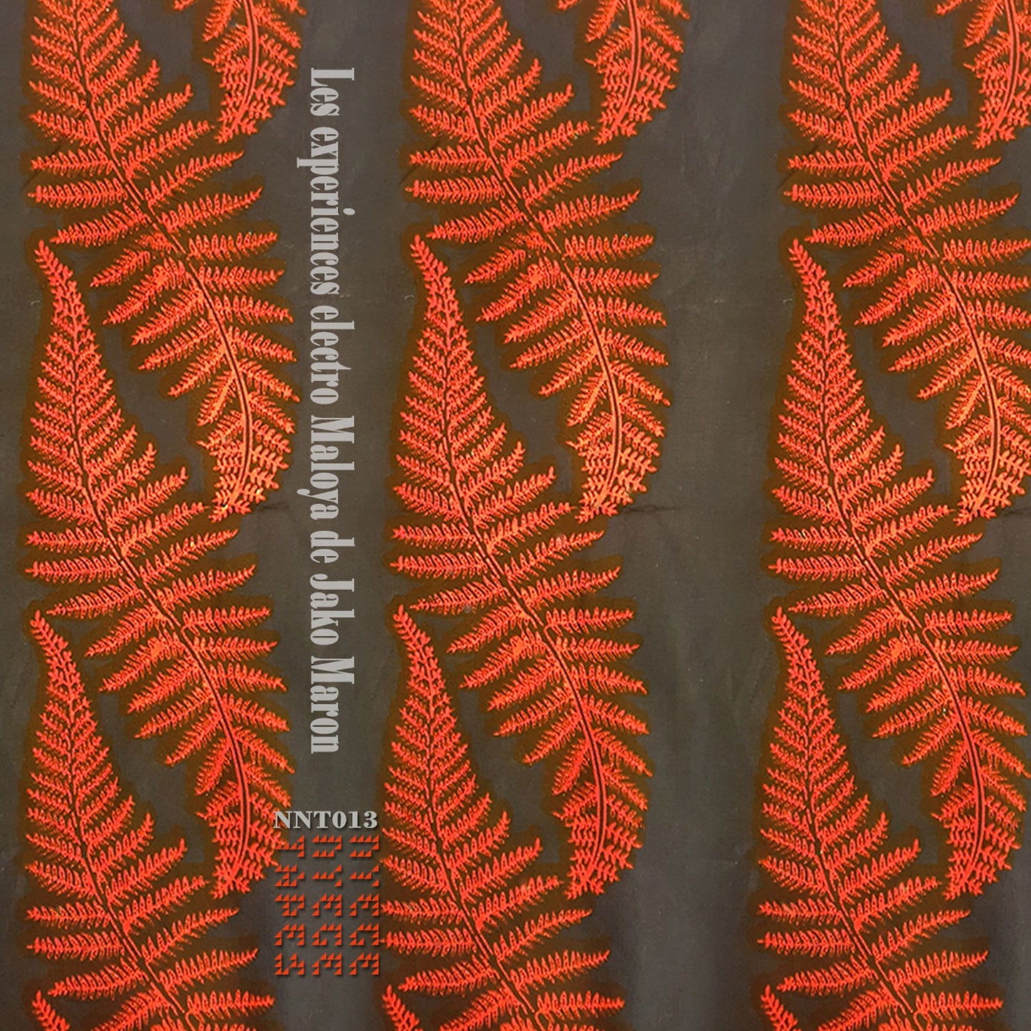 Jako Maron - The Electro Maloya Experiments Of Jako Maron [2LP Red Vinyl]