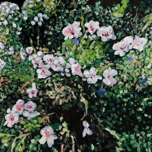 Jess Locke - Don't Ask Yourself Why [CD]