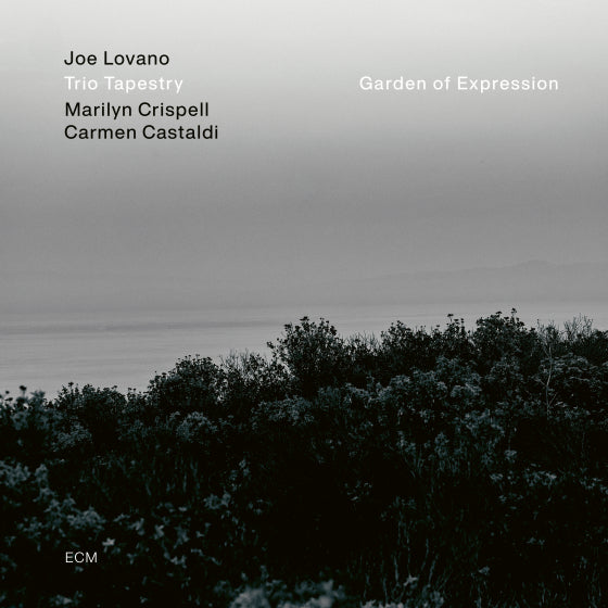 Joe Lovano - Garden of Expression [LP]