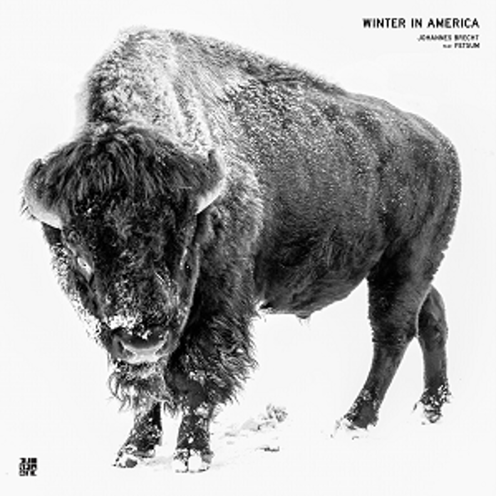Johannes Brecht feat. Fetsum Winter In America