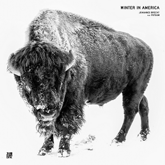 Johannes Brecht feat. Fetsum Winter In America