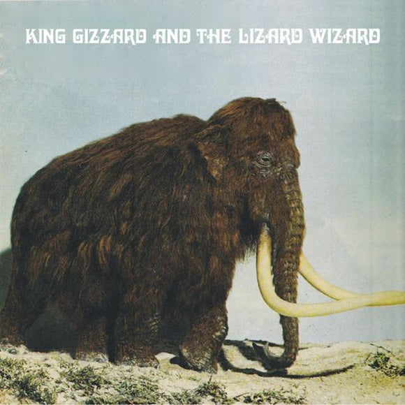 KING GIZZARD & THE LIZARD WIZARD - Polygondwanaland: Fuzz Club Version