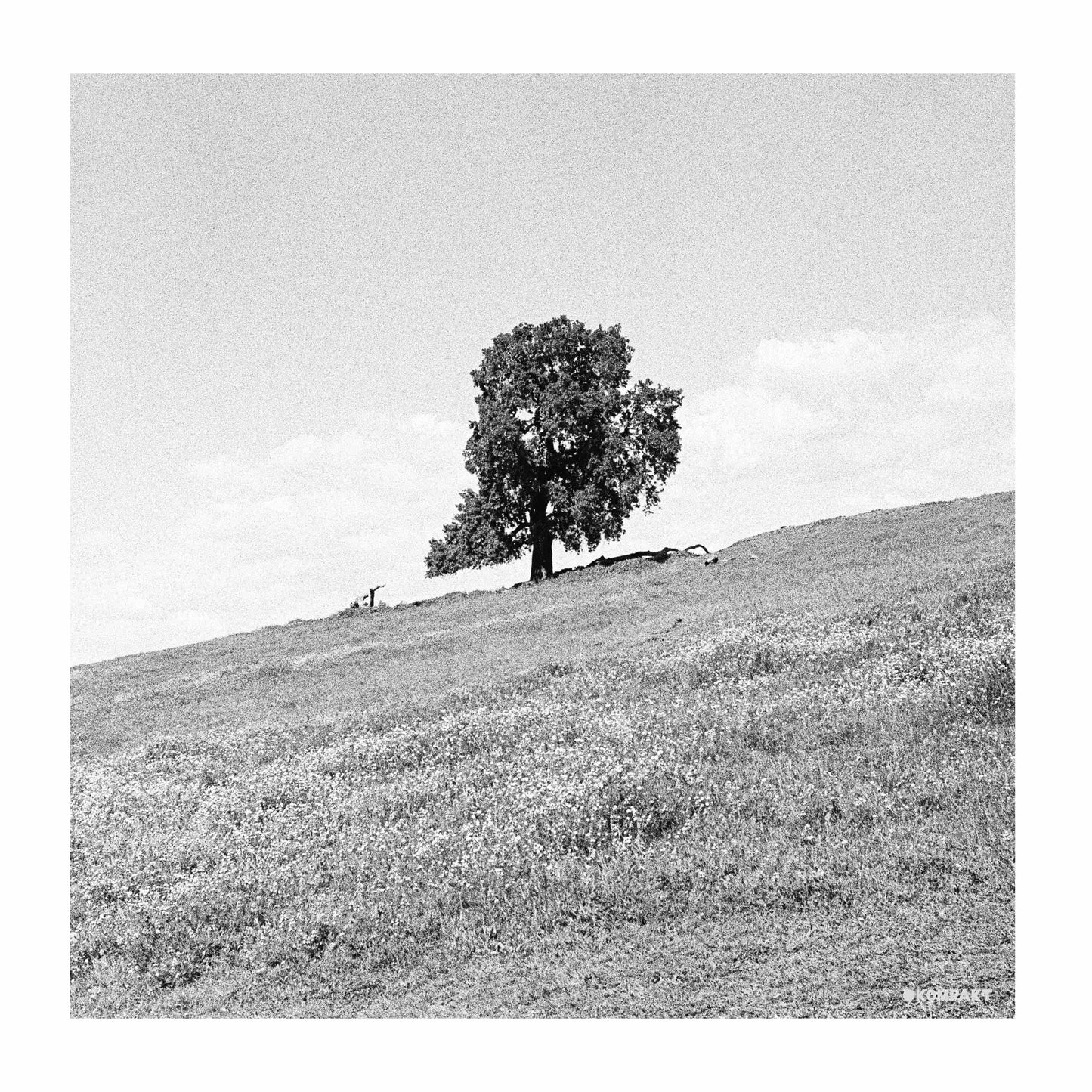 Blank Gloss - Cornered [CD]