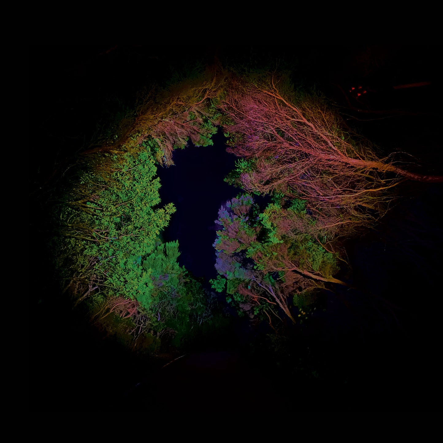 Francisco López - Hidden Island Music (untitled #398)