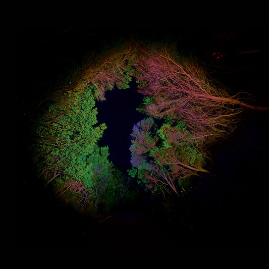 Francisco López - Hidden Island Music (untitled #398)
