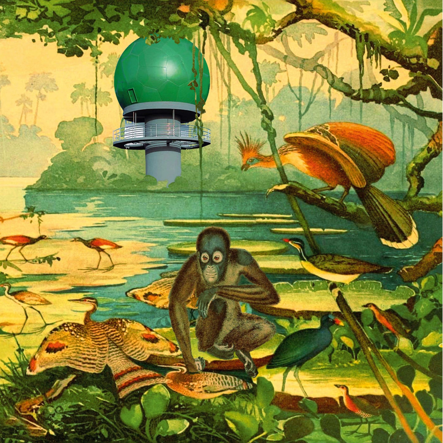 Various Artists	- Radar 2