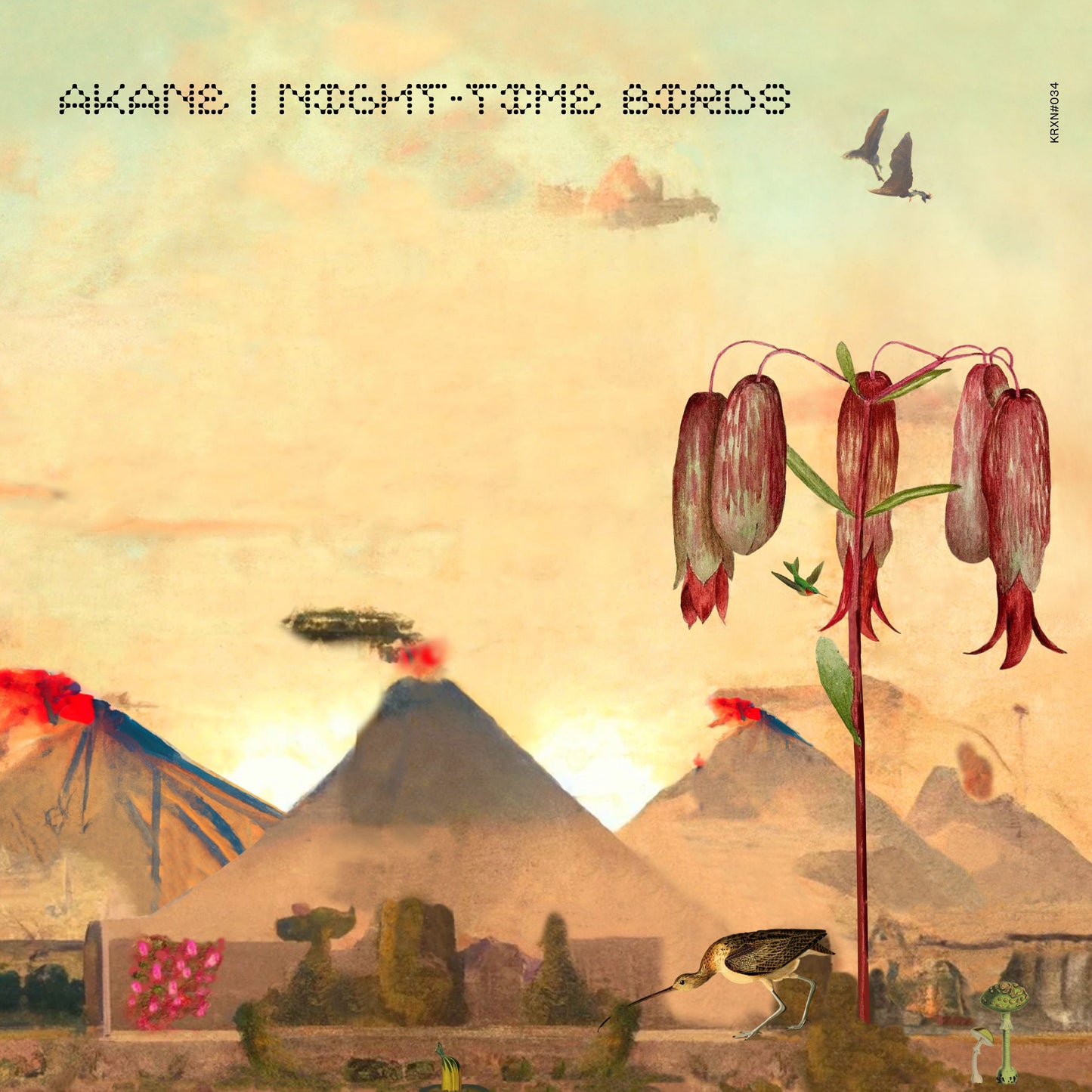 Akane - Night-Time  Birds