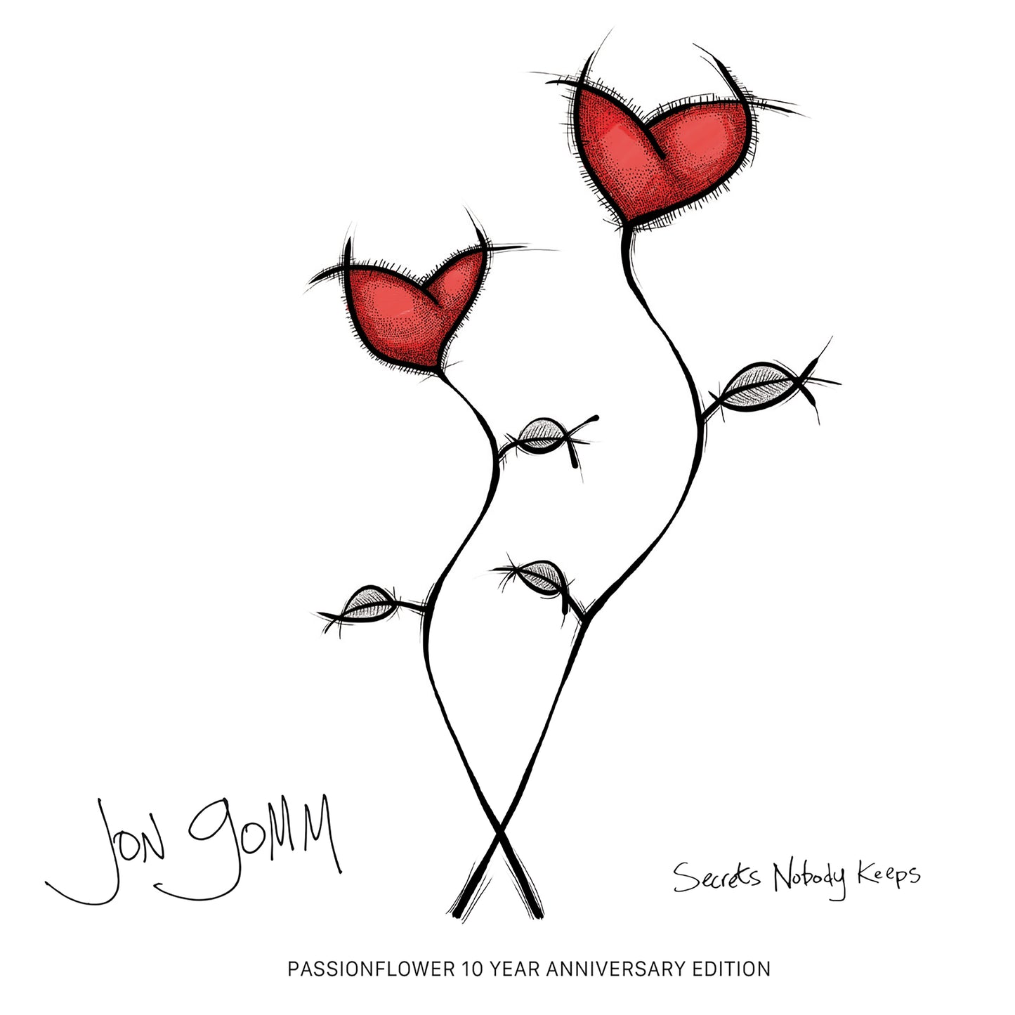 Jon Gomm - Secrets Nobody Keeps