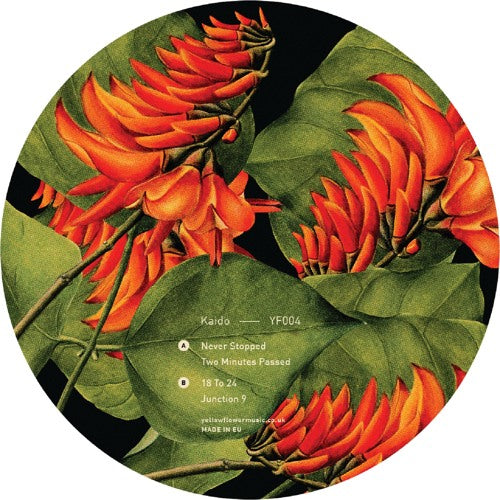 Kaido - Junction 9 EP