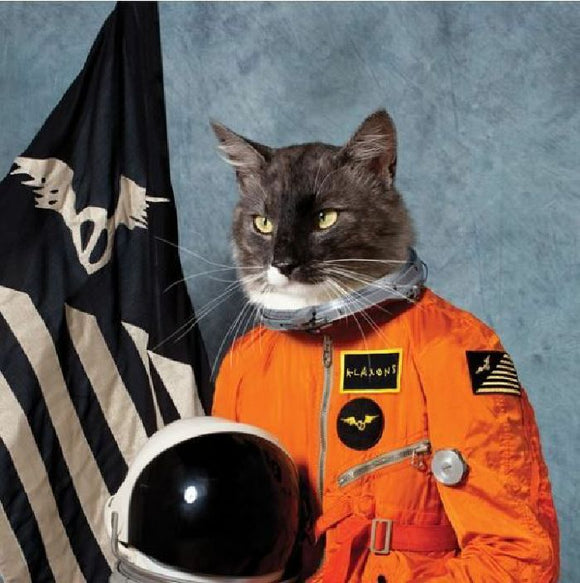 Klaxons - Surfing The Void (RSD 2020)