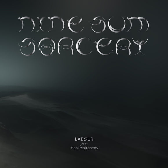LABOUR feat Hani Mojtahedy - nine-sum sorcery