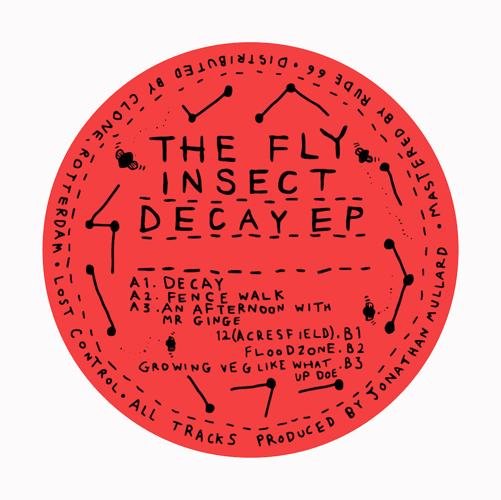 The Fly Insect - Decay EP