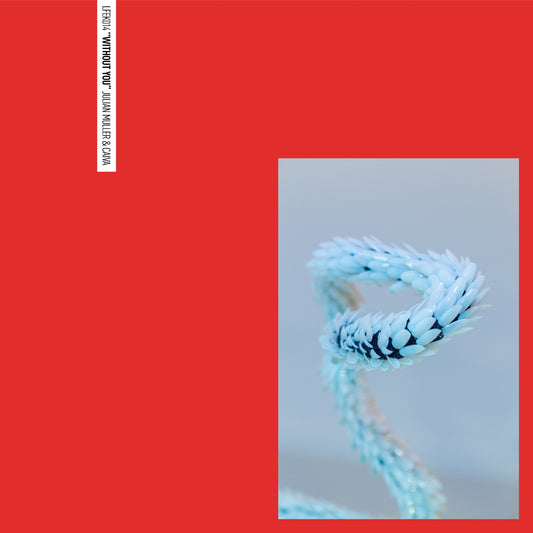 Julian Muller/Caiva - Without You