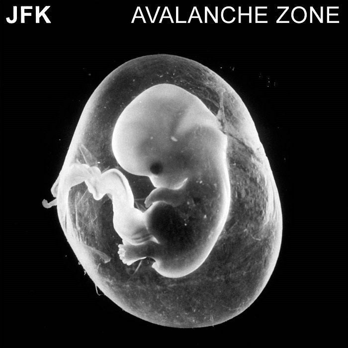 JFK - AVALANCHE ZONE